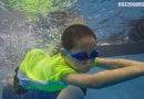 Swim Lessons, swim, tiger swim, underwater, Jordan Liekweg, Dive Well