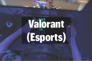 Valorant (esports)
